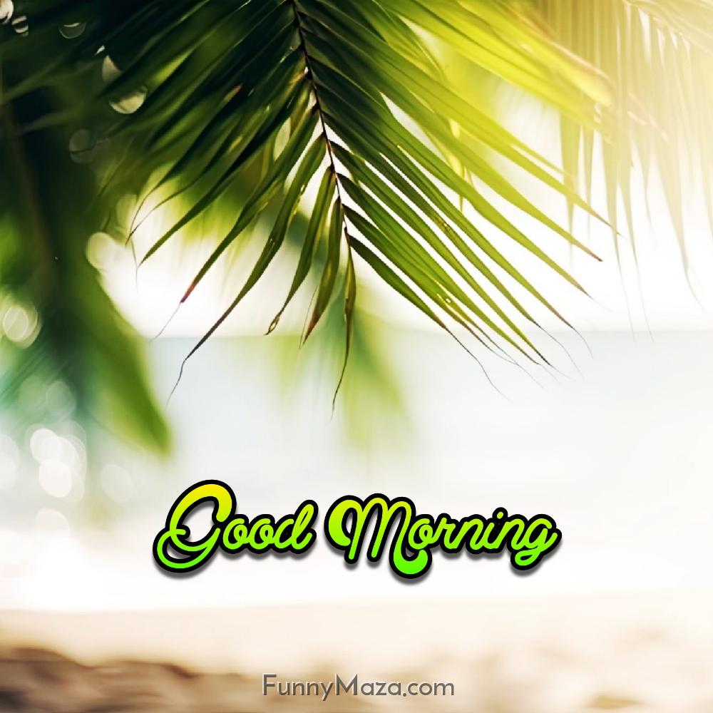 Beautiful Good Morning Beach Images Download