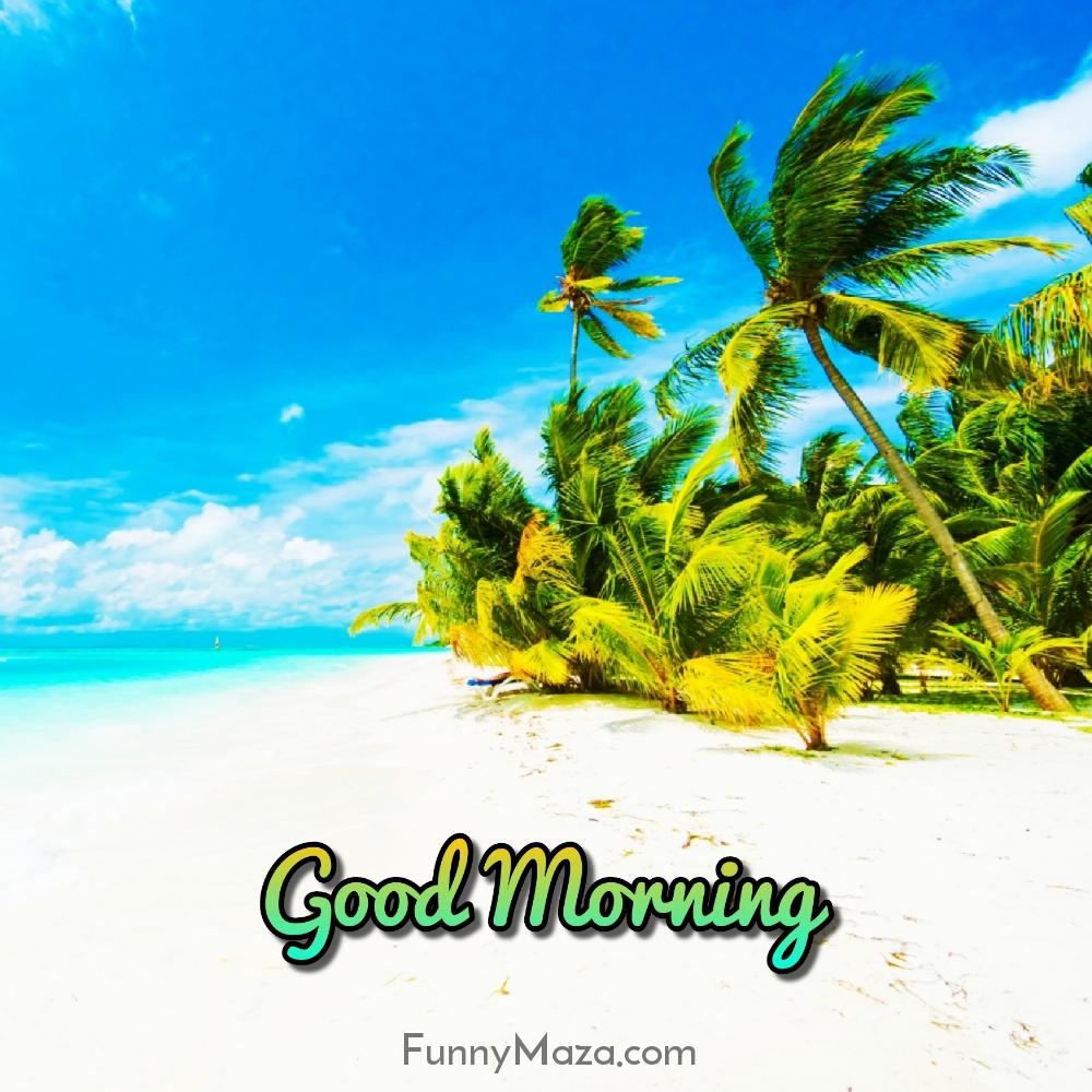 Good Morning Beach HD Images Download