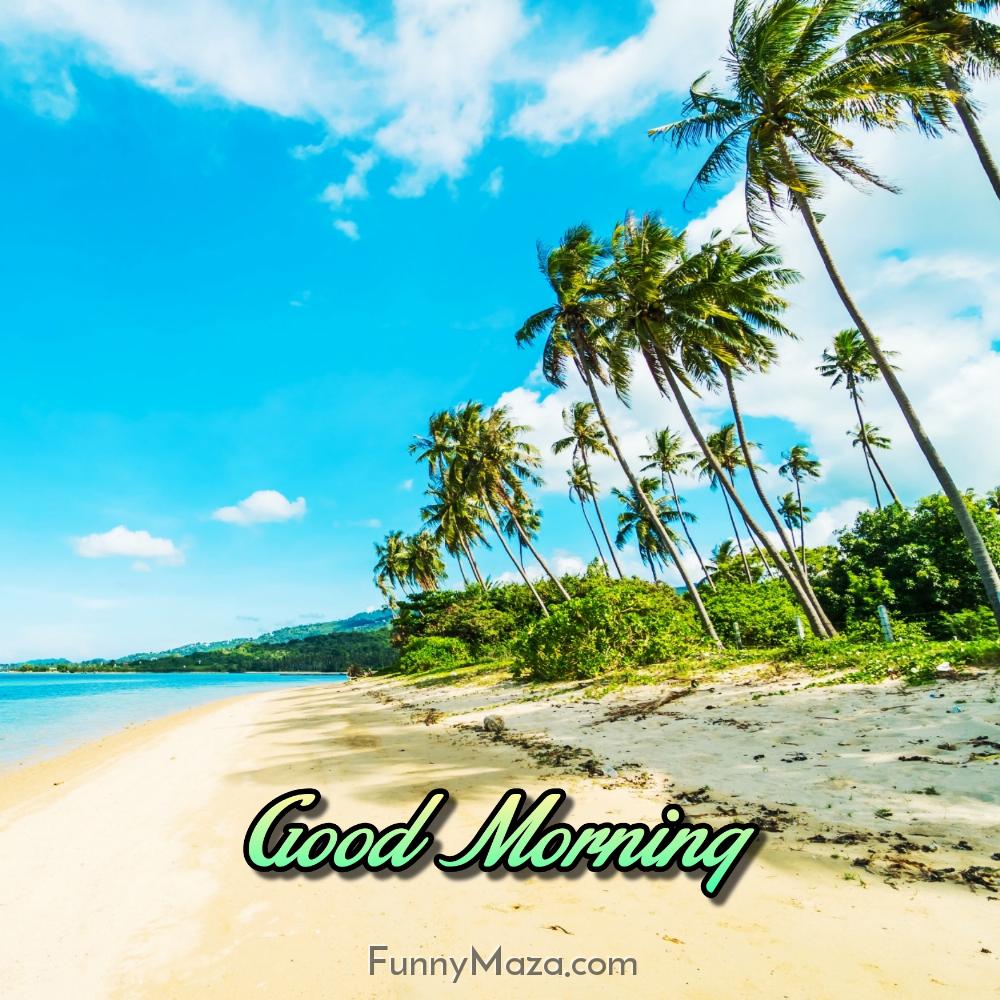 Good Morning Beach Images Download