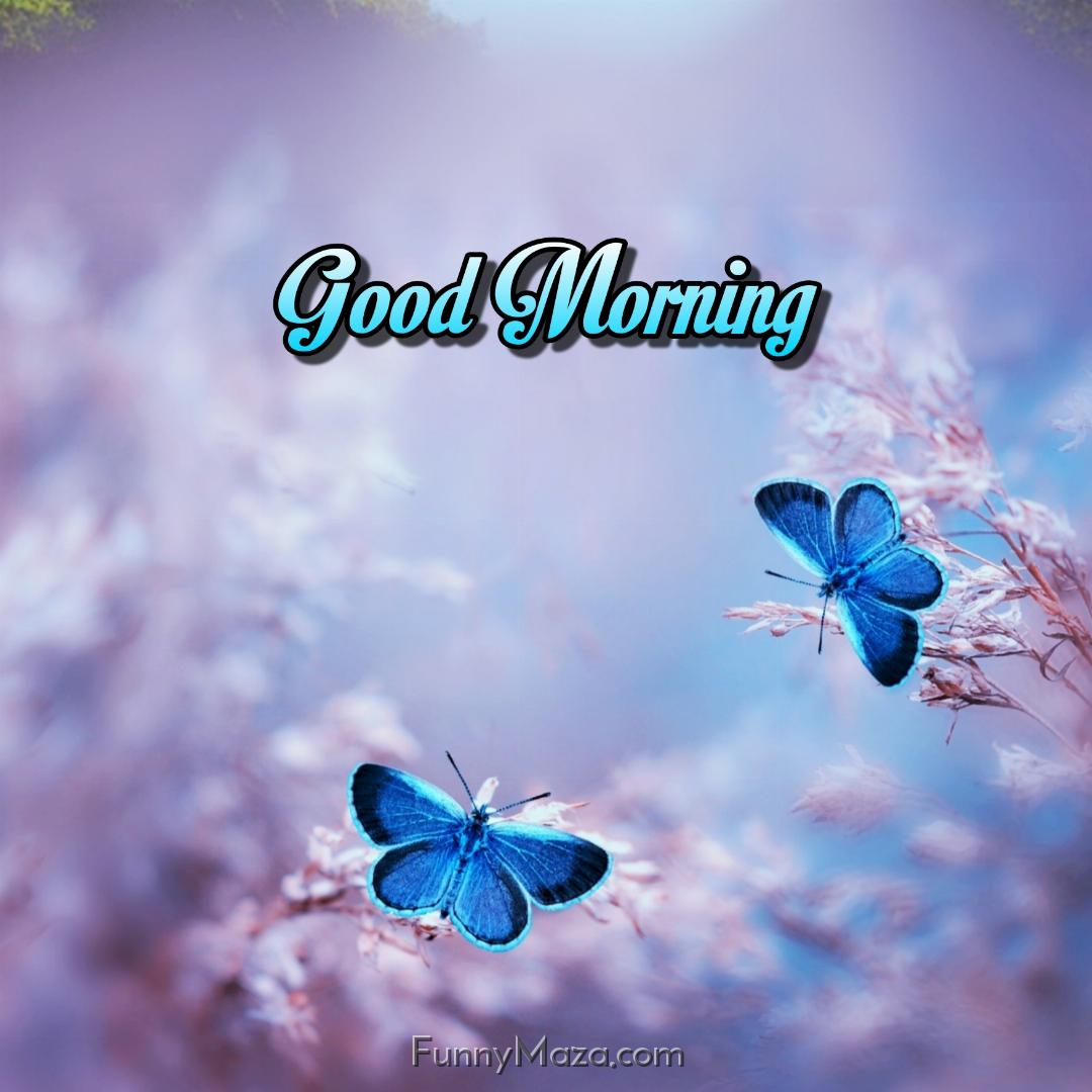 Good Morning Blue Butterflies Images Download