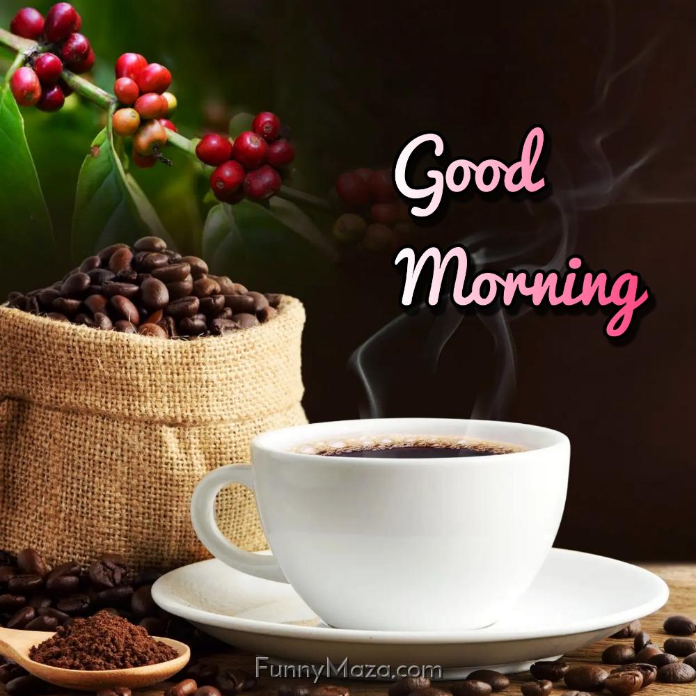 Coffee Good Morning Images