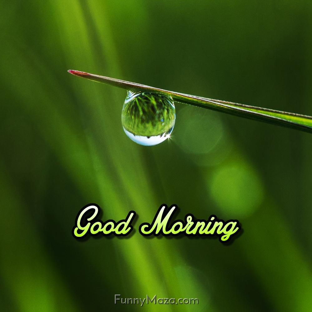 Good Morning Dew Drop Ki Photo