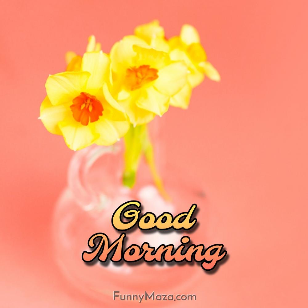 Good Morning Flower Images