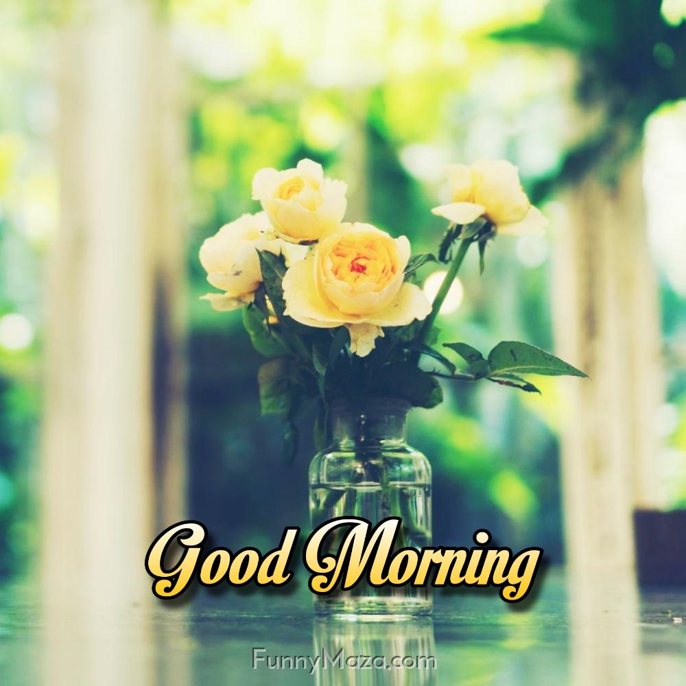 Good Morning Yellow Roses Image