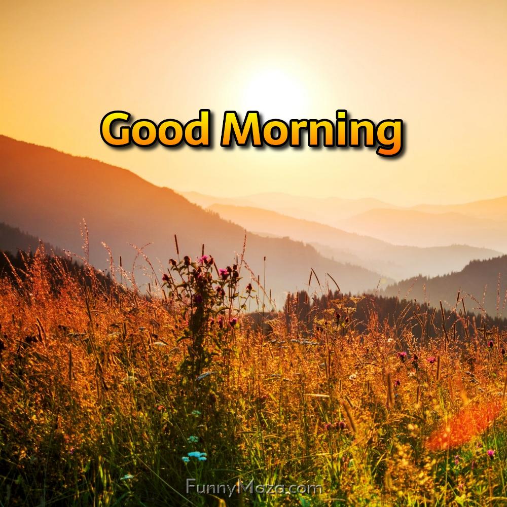 Good Morning HD Images Of Nature