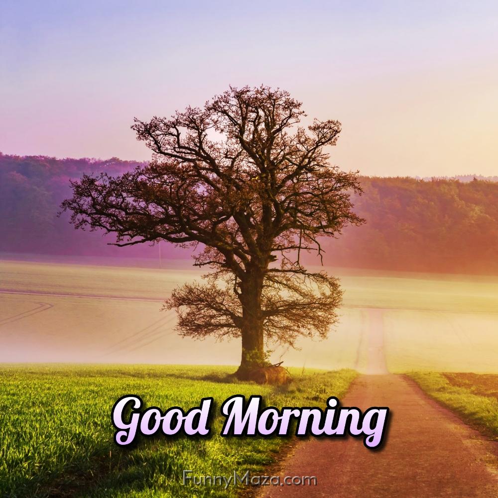 Good Morning Images Nature Scenery