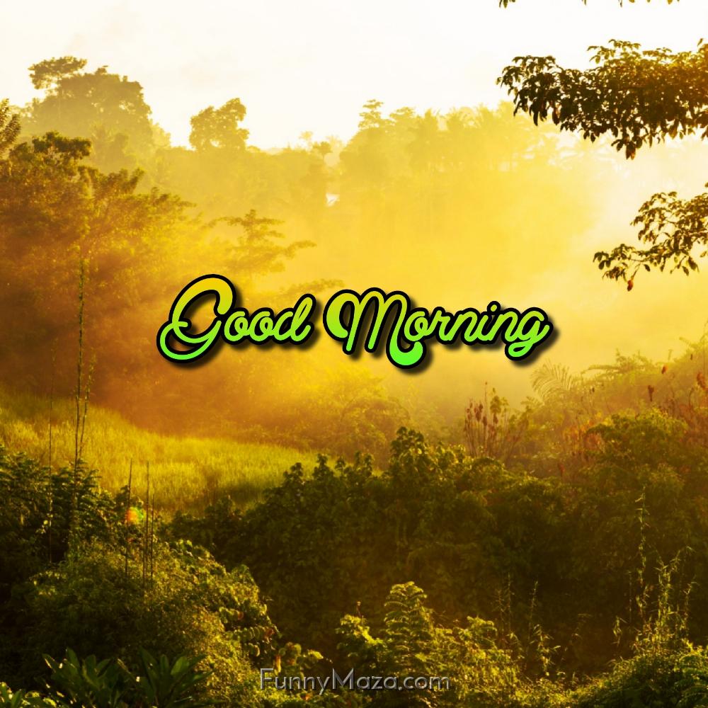 Good Morning Images With Nature Jpg