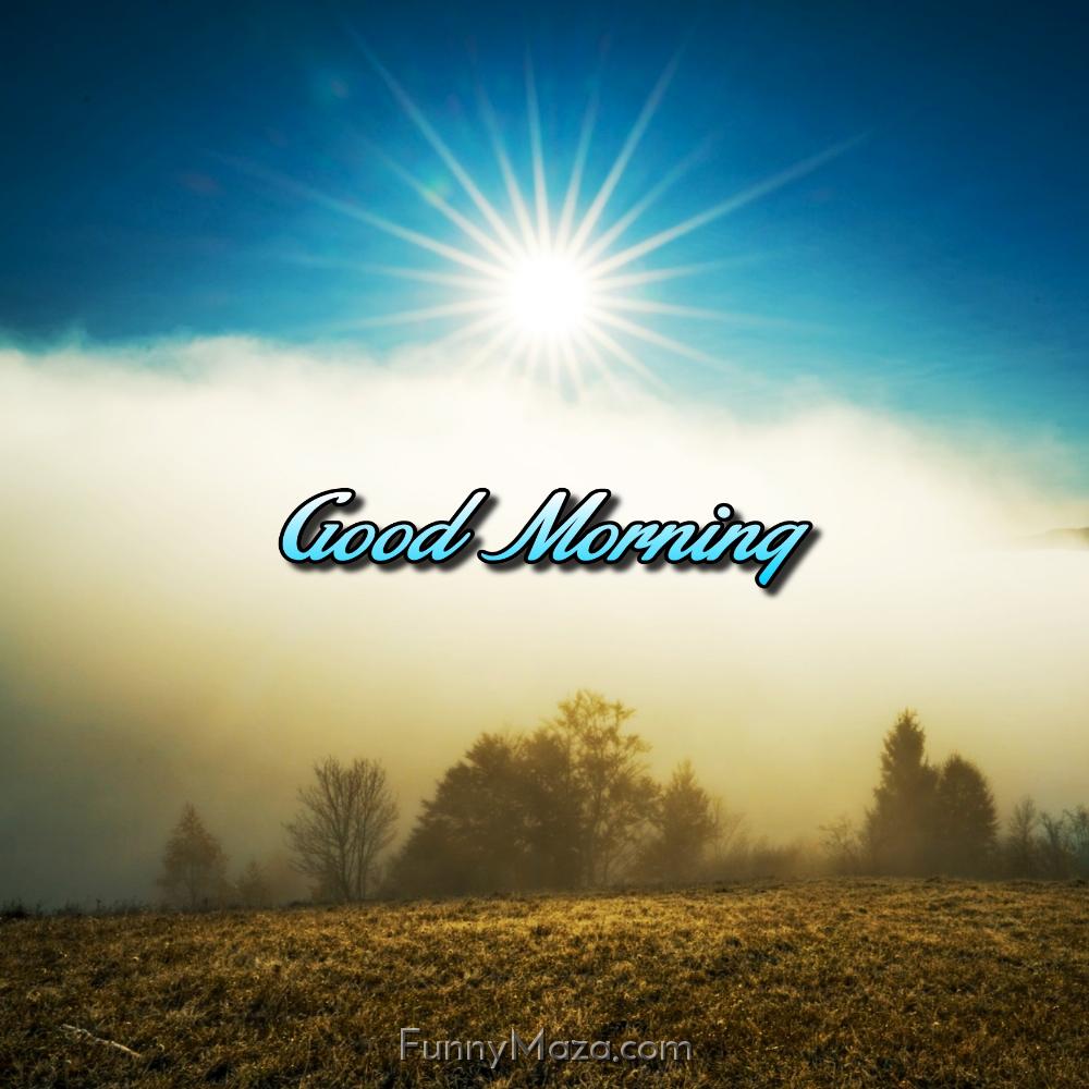 Good Morning Nature Images HD