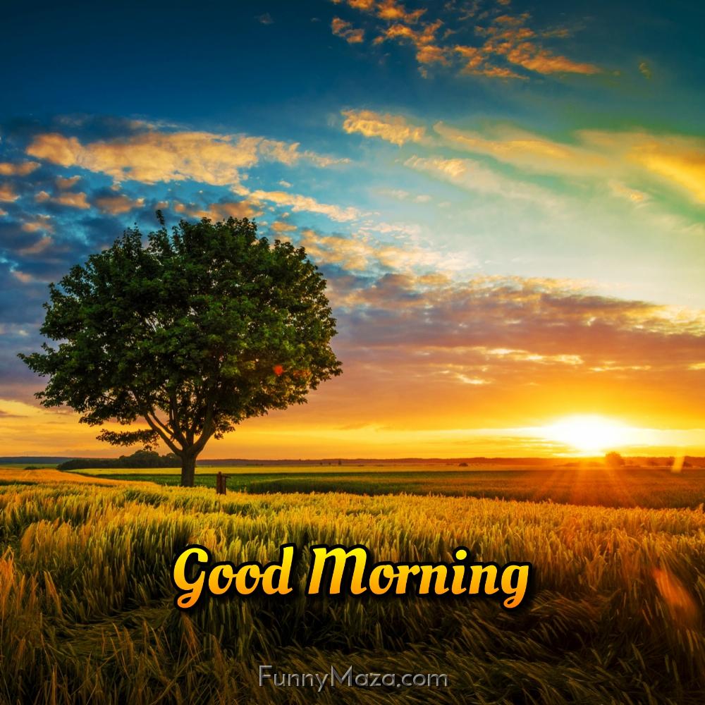 Good Morning Nature Images New 2024