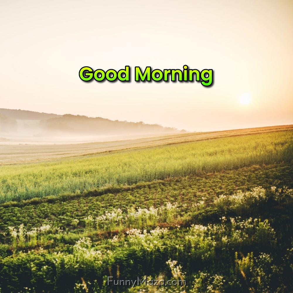 Good Morning Nature Pictures