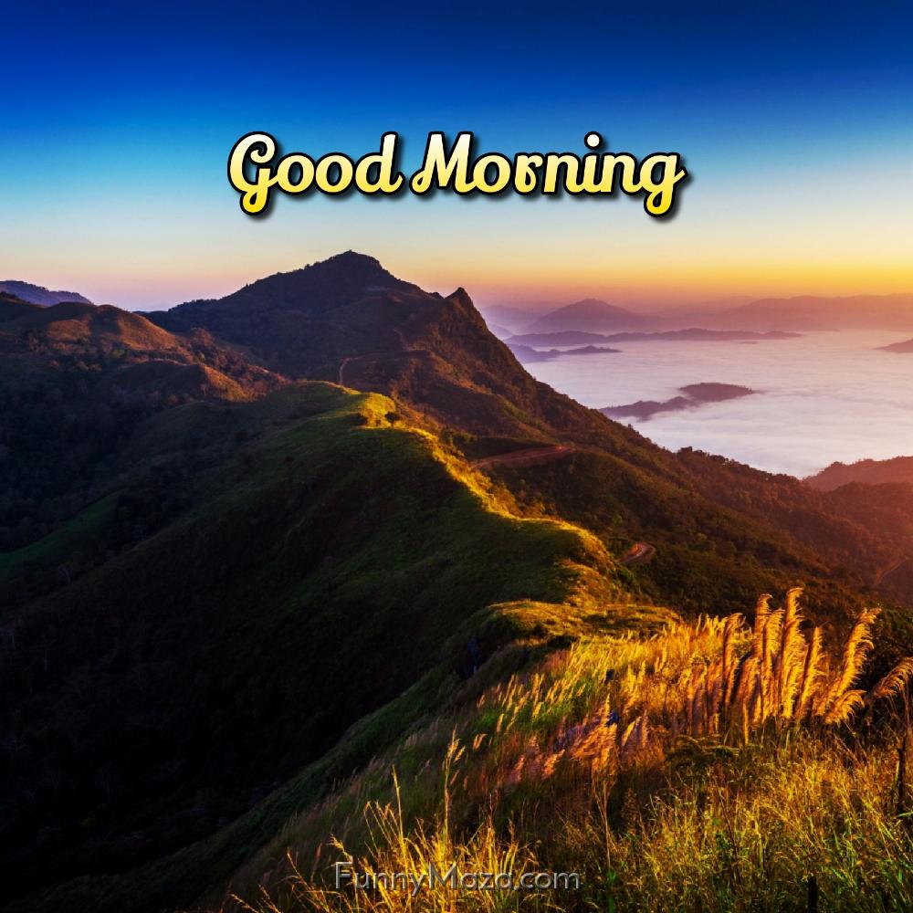 Good Morningnature Images