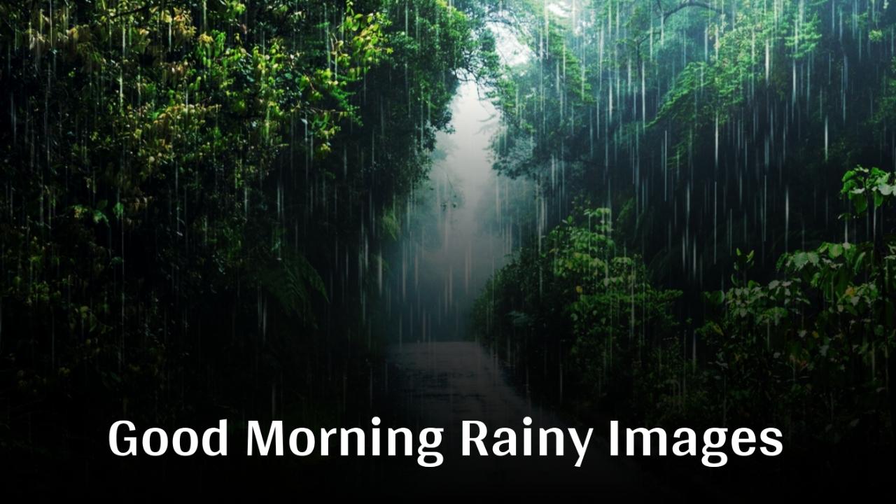 Beautiful Good Morning Rainy Images