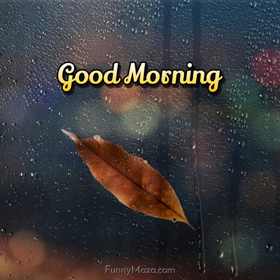 A Rainy Good Morning Images Download