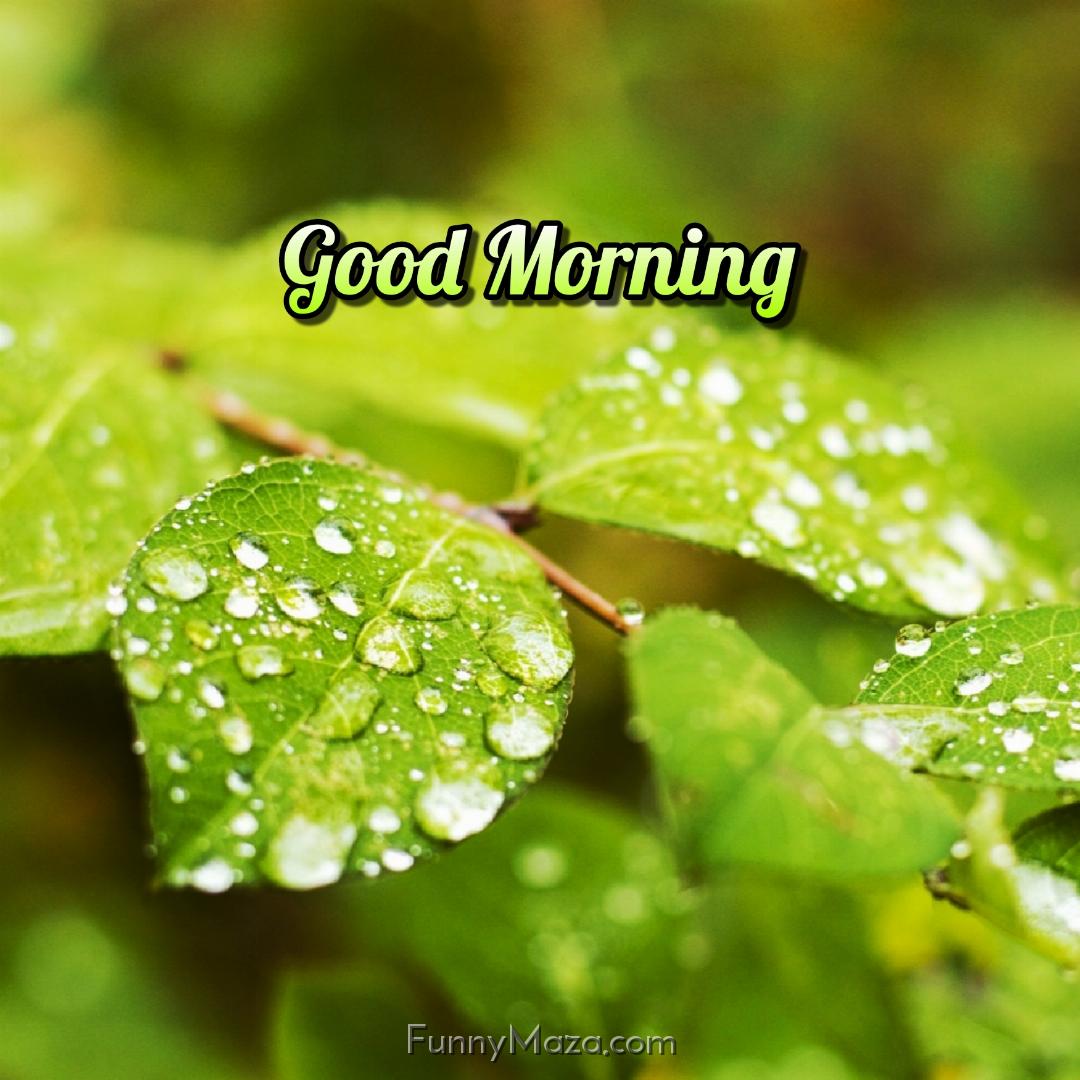 Beautiful Rainy Good Morning Images