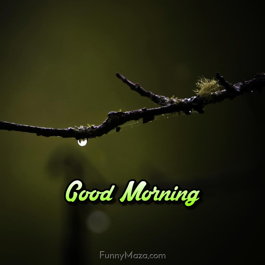 Good Morning Beautiful Rainy Images Download