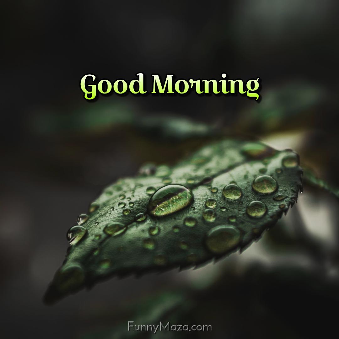 Good Morning Beautiful Rainy Images