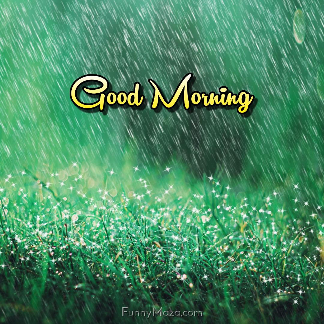 Good Morning Rain Images HD