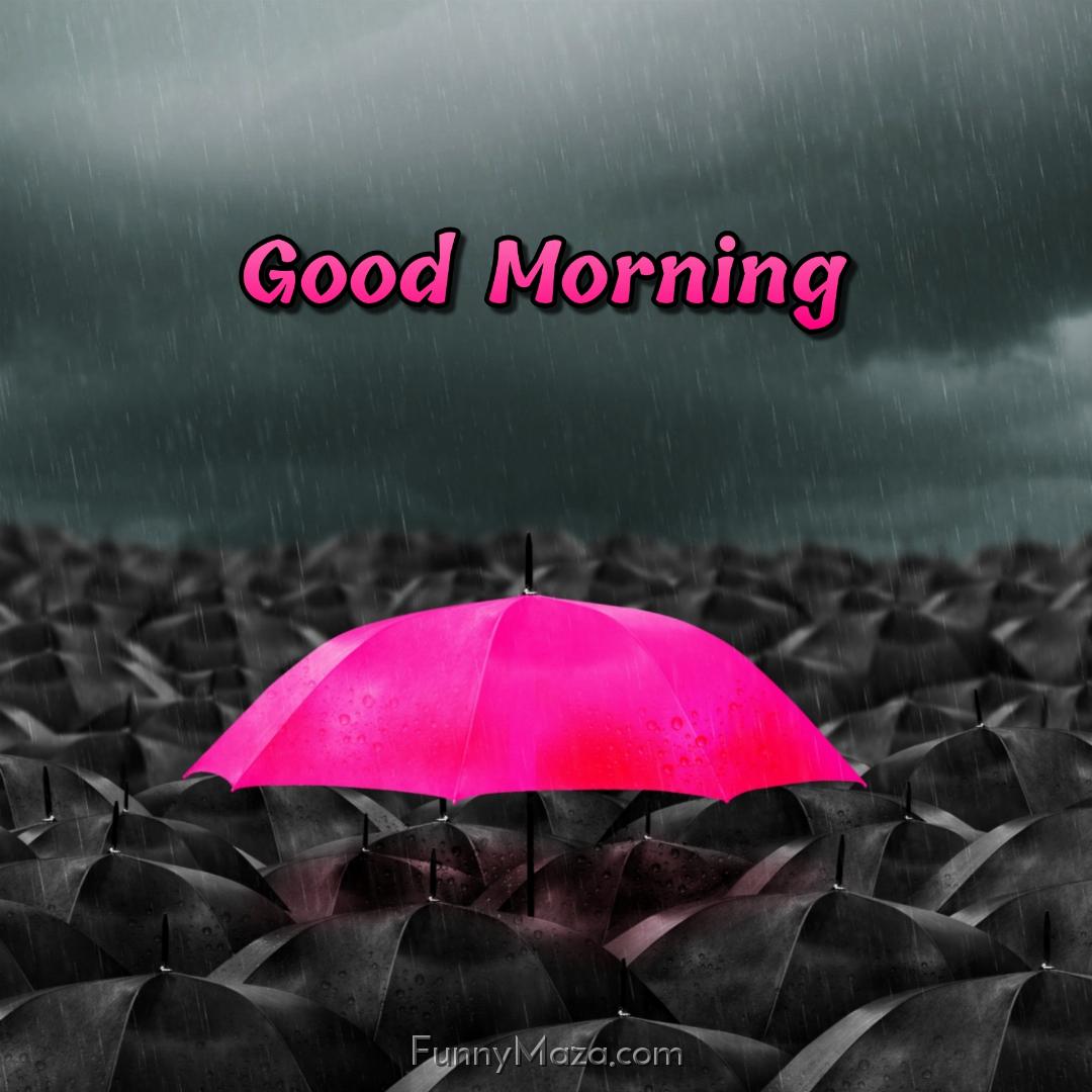 Good Morning Rainy Image With Pink Umbrella