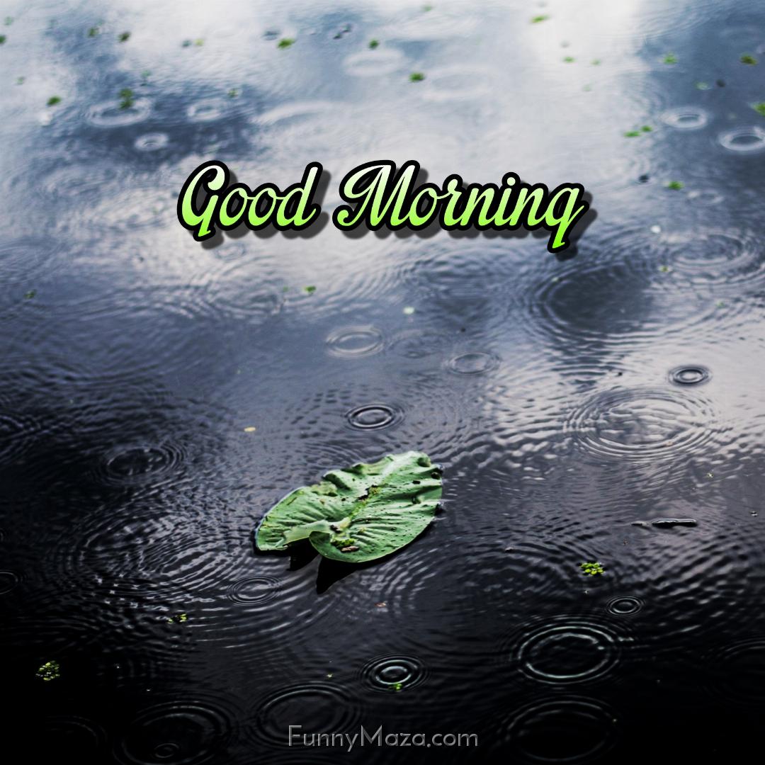 Good Morning Rainy Images Hd