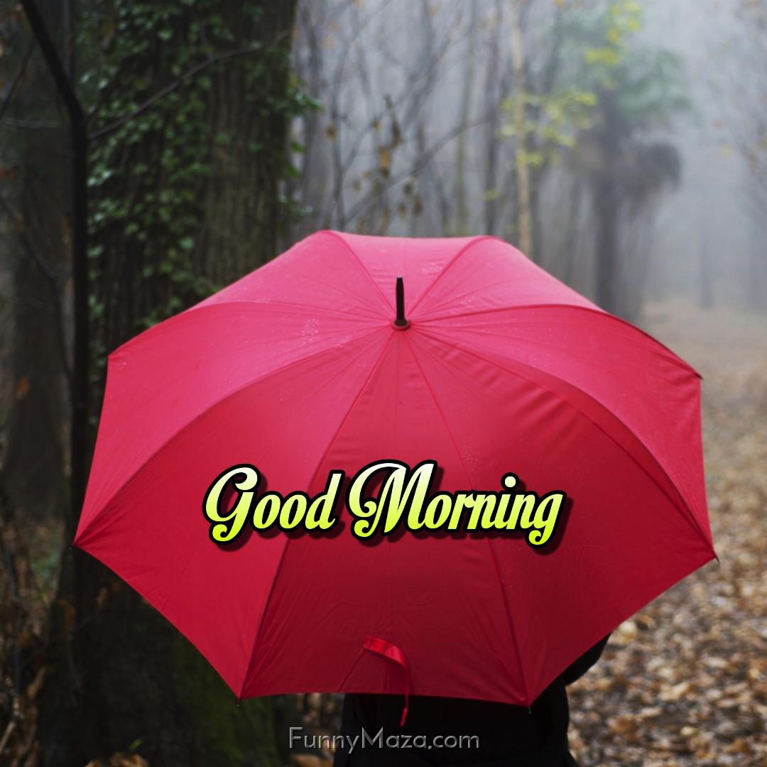 Good Morning Rainy Images With Red Umbrella