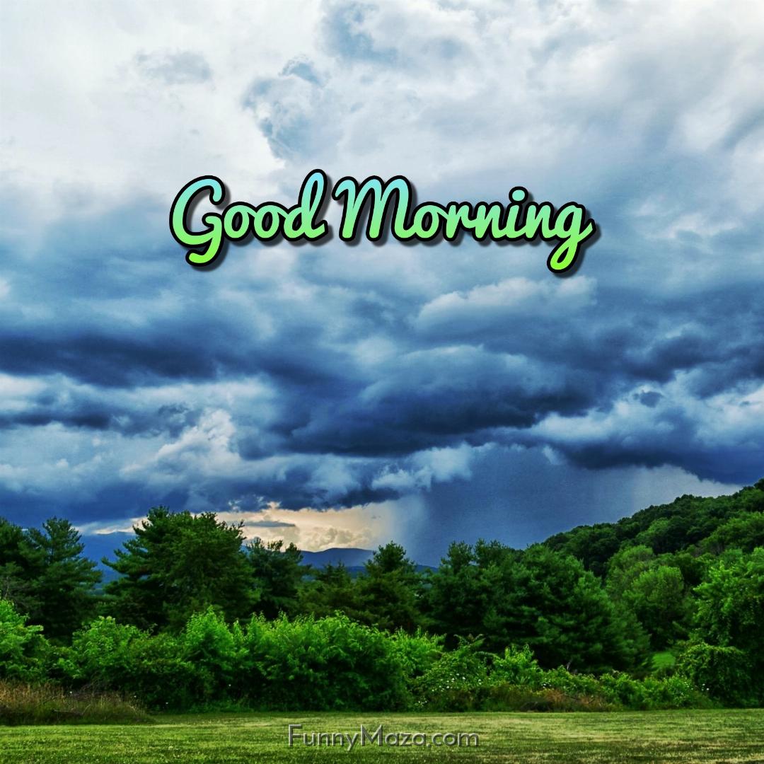 Good Morning Rainy Nature Images