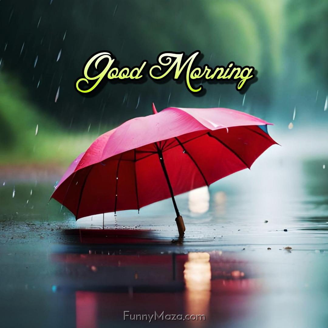 Good Morning Umbrella Rainy Images