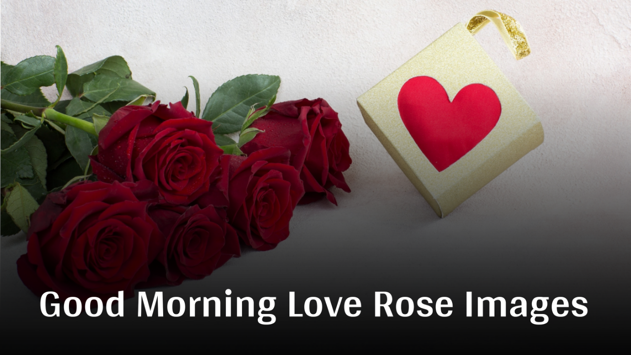 Beautiful Good Morning Images With Rose And Love