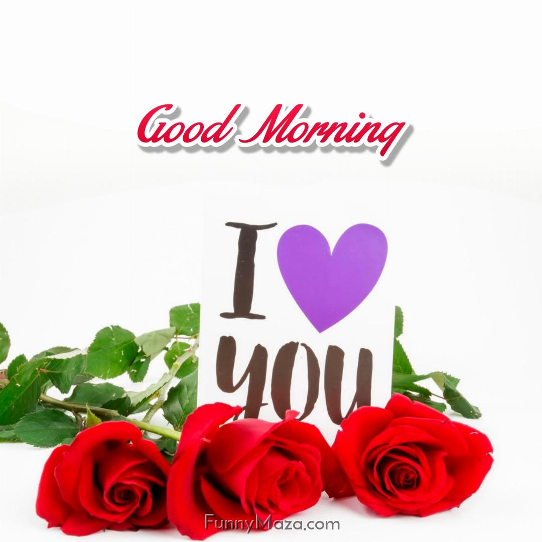 Good Morning I Love You Roses