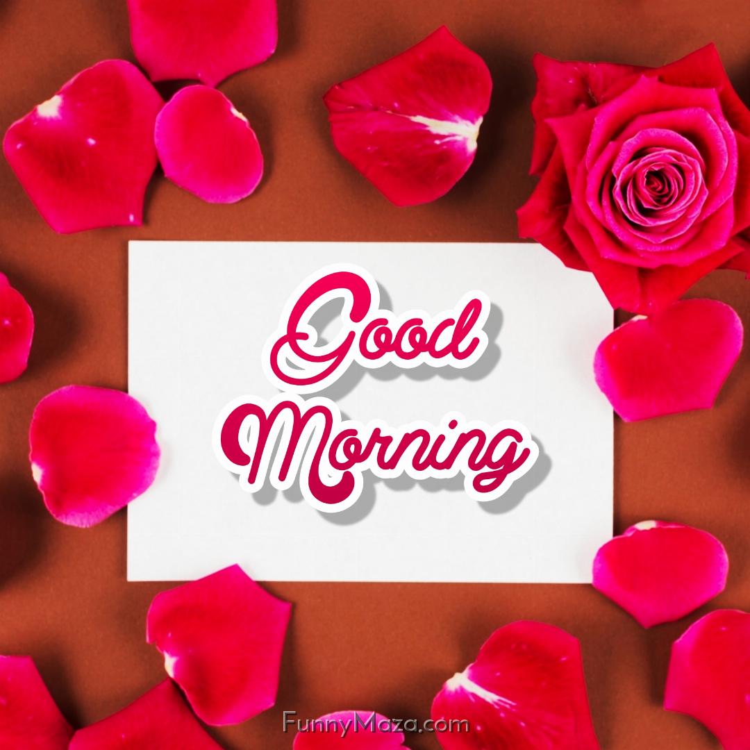 Good Morning In Rose Images