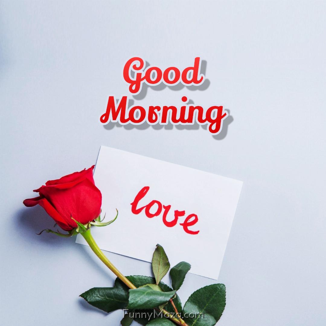 Good Morning Love Red Rose Images Download