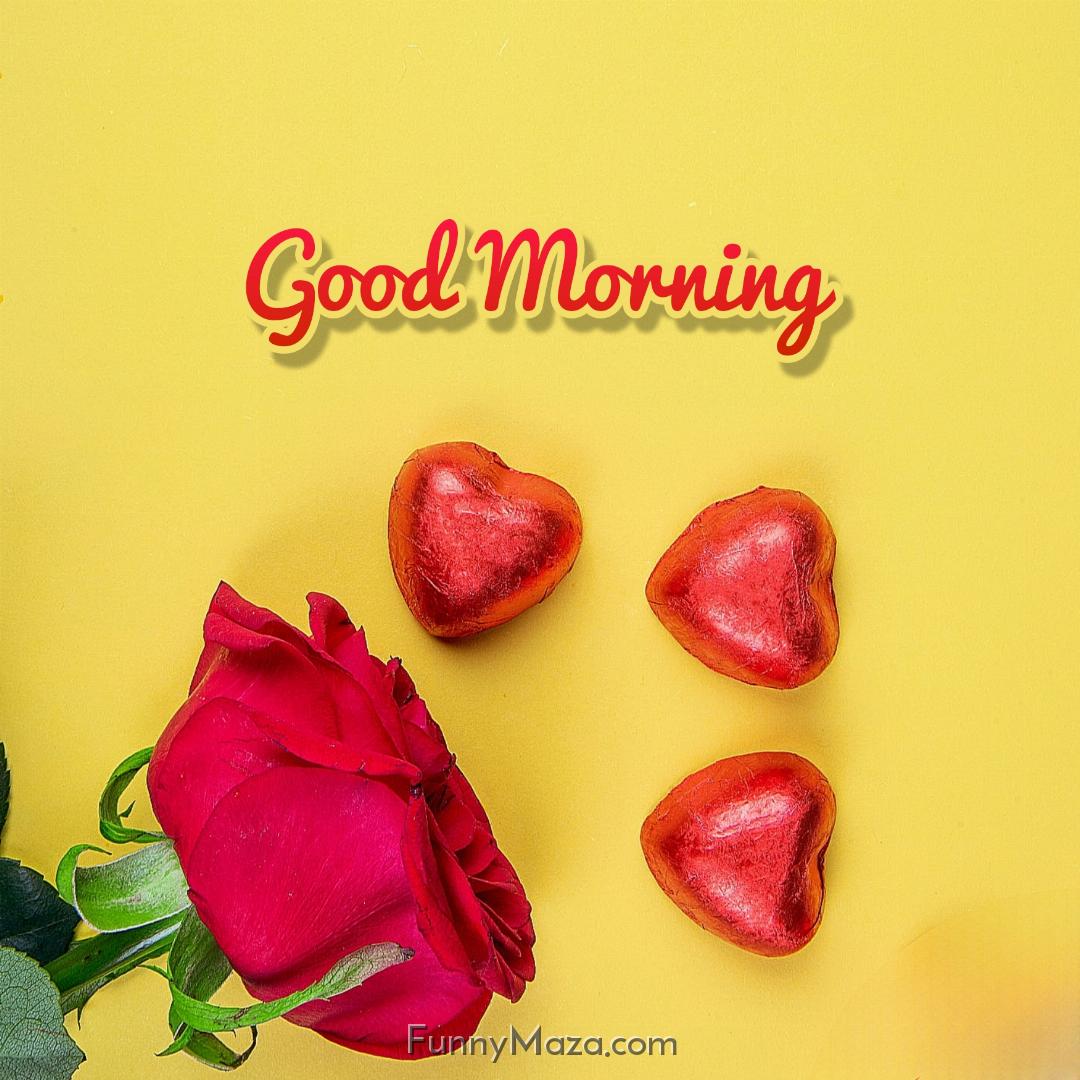 Good Morning Love Rose Flower Images