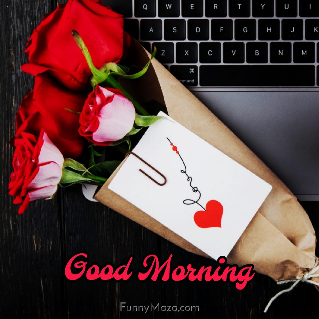 Good Morning Red Rose Images With Love Download