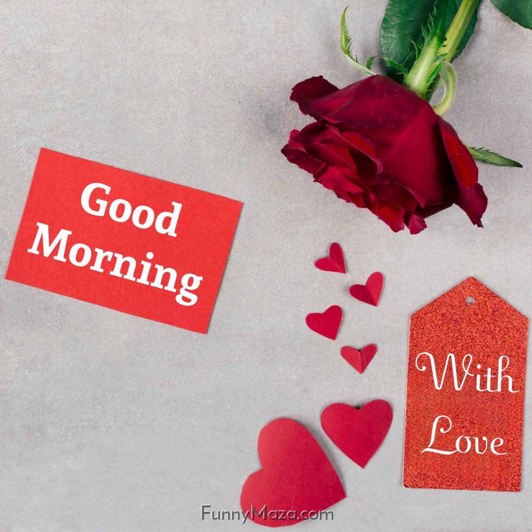 Good Morning Red Rose With Love Images