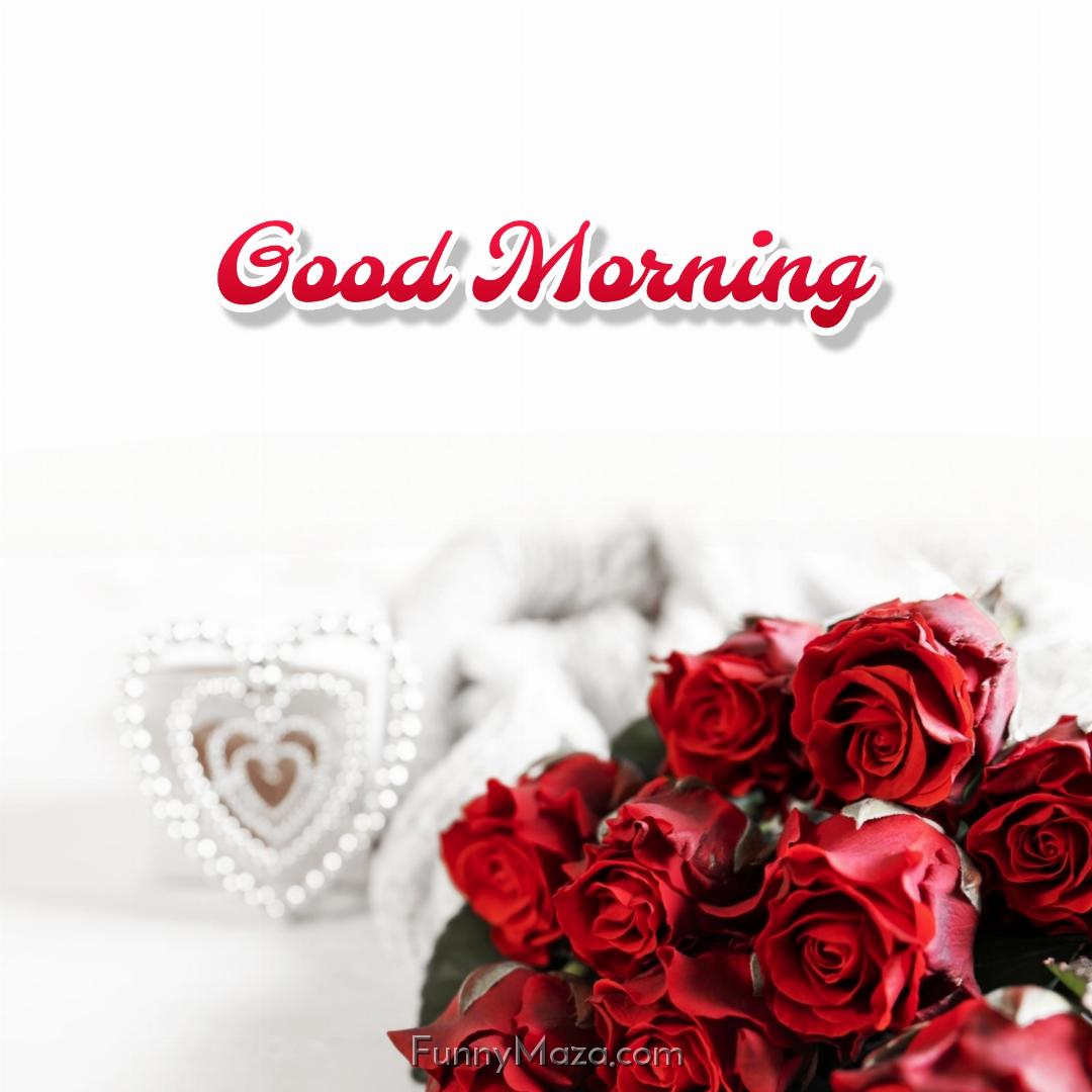 Good Morning Red Roses Love Image Download