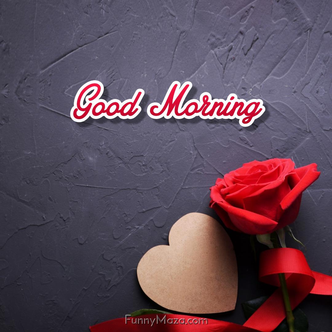 Good Morning Rose Love Images Download