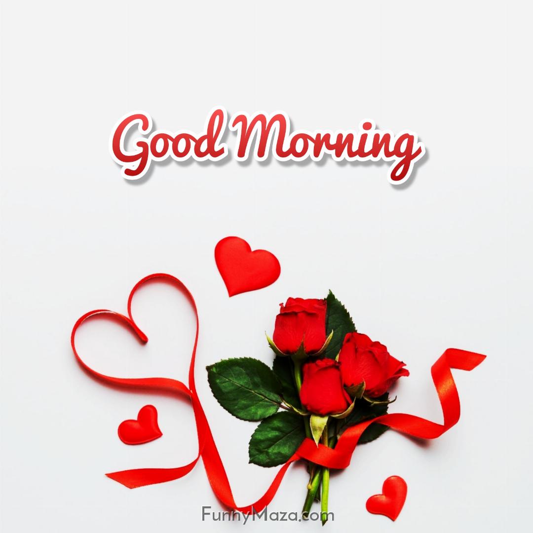 Good Morning Rose Love Images HD