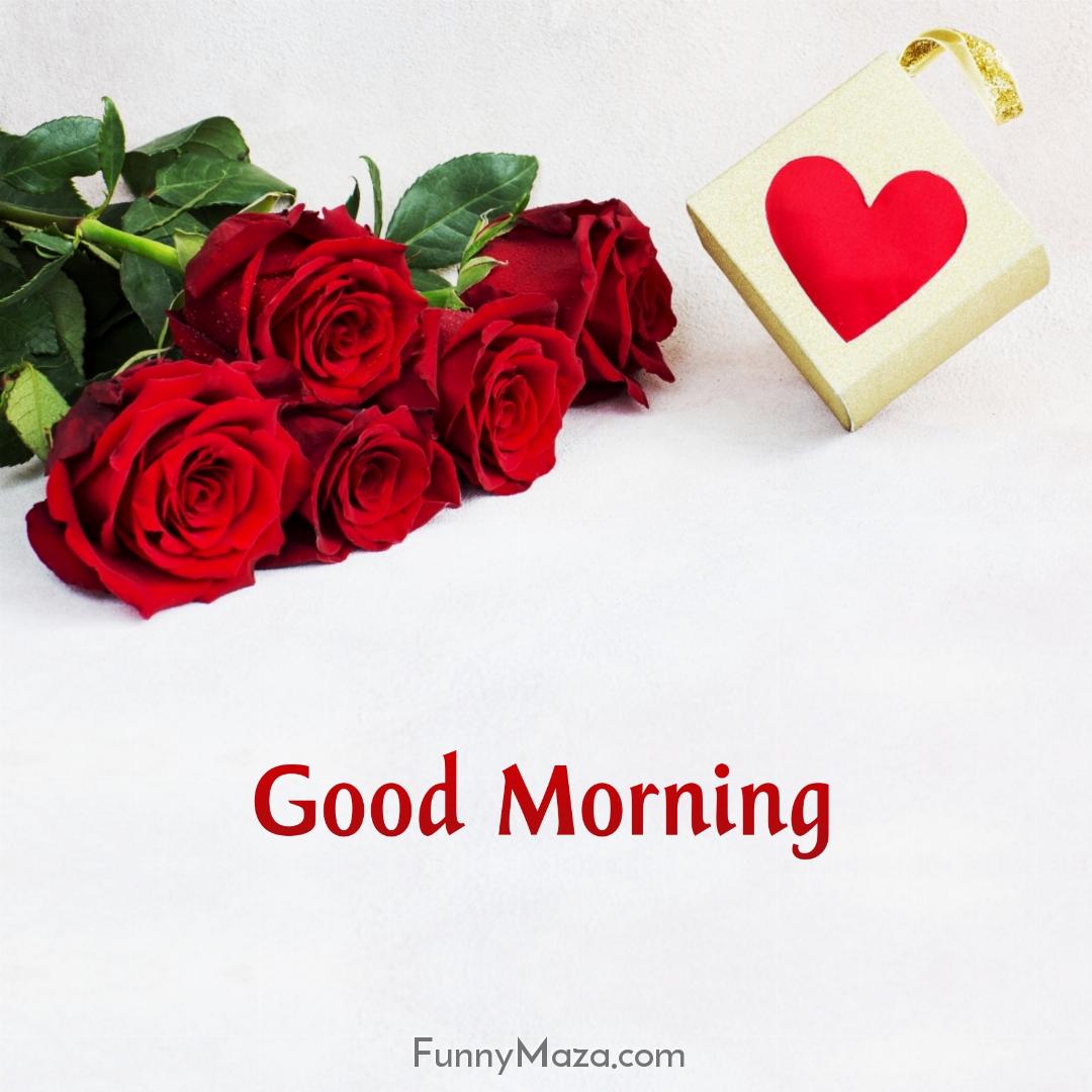 Good Morning Rose Love Images