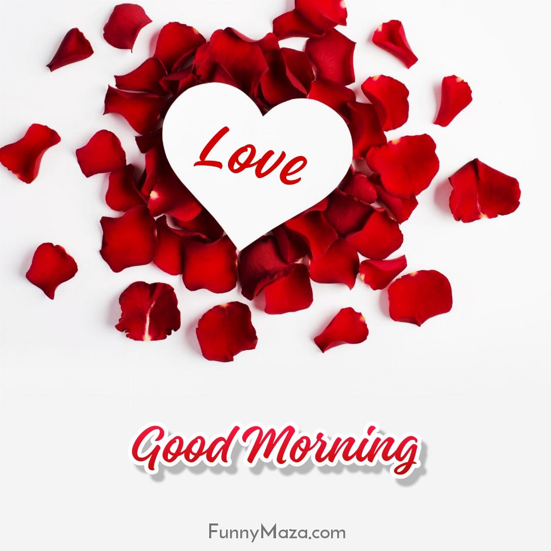 Love Beautiful Good Morning Rose Images