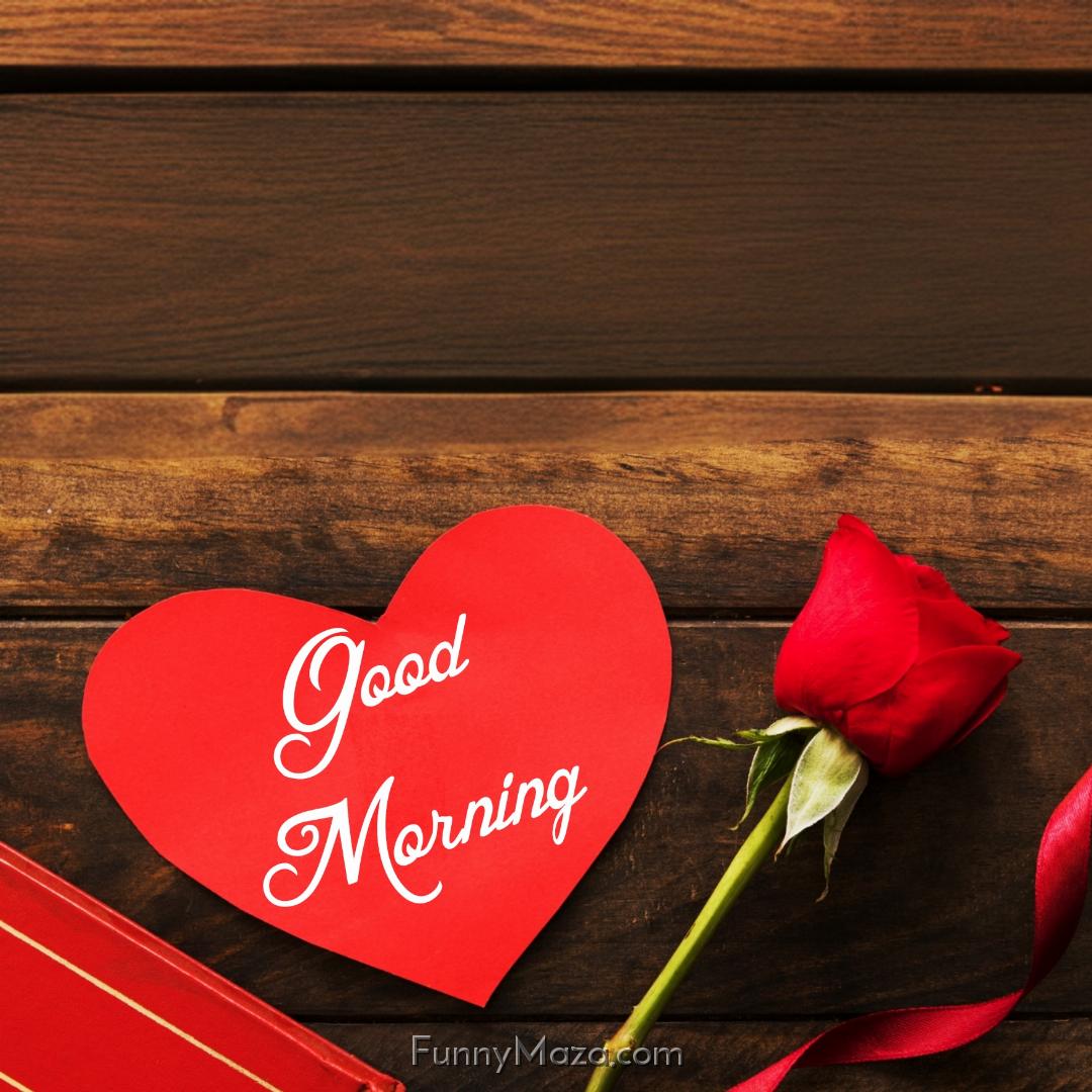 Love Good Morning Rose Images Download