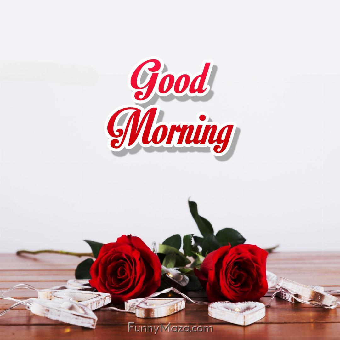 Love Good Morning Rose Images