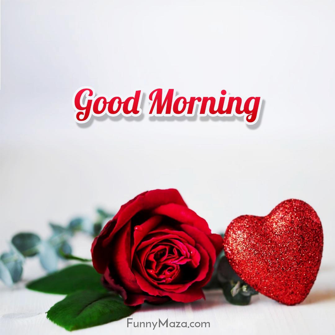 Love Romantic Good Morning Rose Images