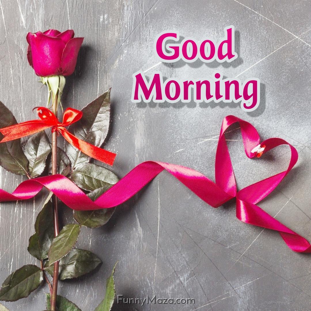 Pink Rose Love Good Morning Images