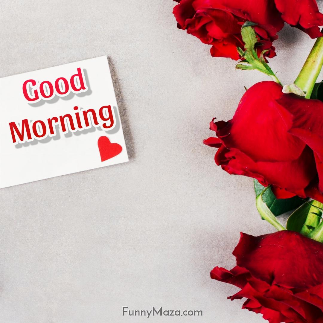 Romantic Good Morning Love Rose Images For Him