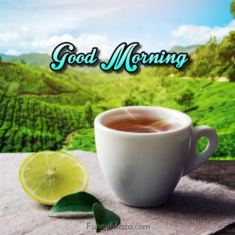 Good Morning Nature Tea Images Hd