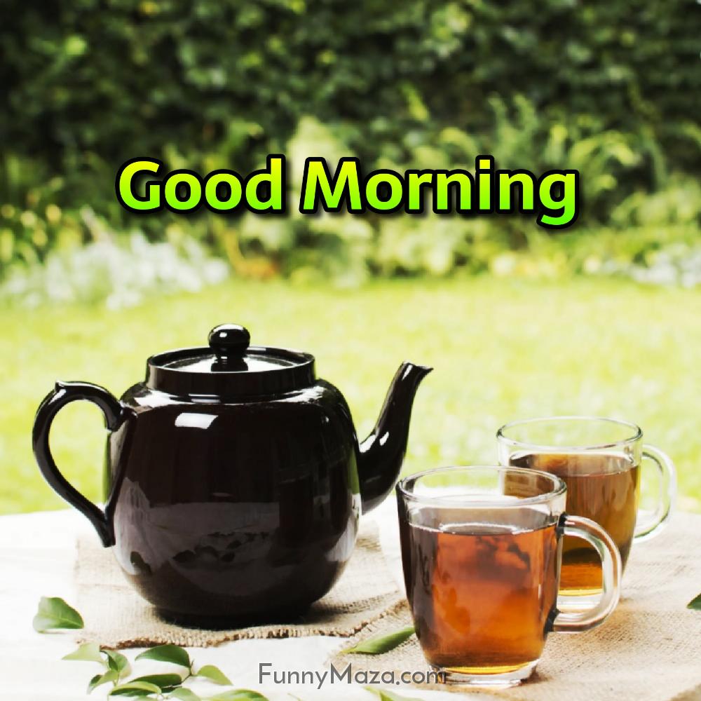 Tea Beautiful Fresh Good Morning Images