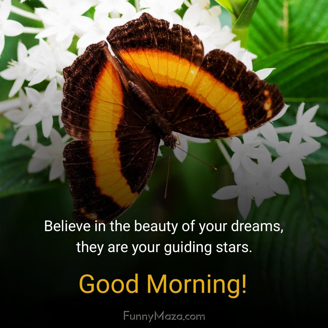 Believe in the beauty of your dreams they are your guiding