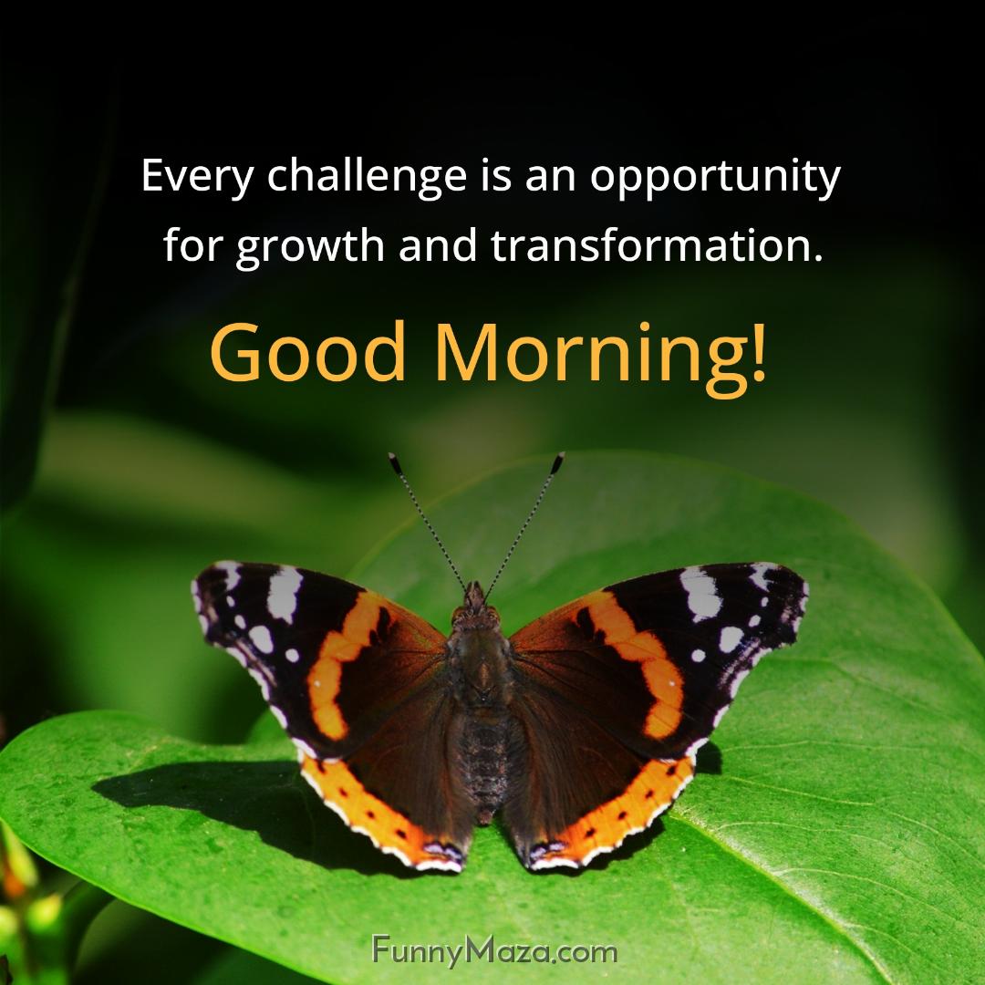 Every challenge is an opportunity for growth and transformation