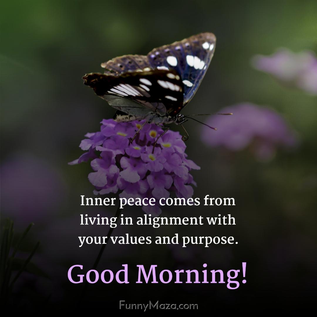 Inner peace comes from living in alignment with your values and