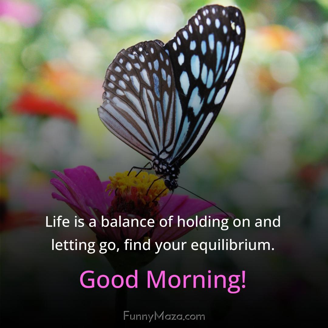 Life is a balance of holding on and letting go find