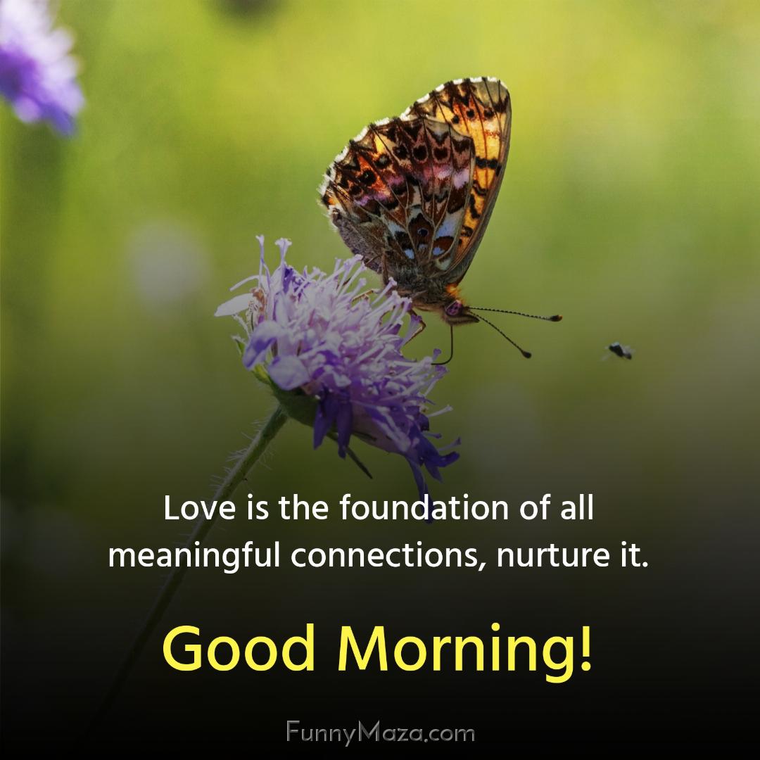 Love is the foundation of all meaningful connections nurture it